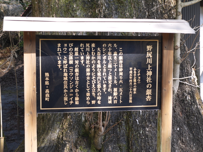 野尻川上神社